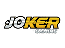 how to play sudoku video
